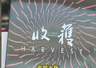 无穷的远方青年作家工作坊开启 探讨媒介变革下创作经验转化之道