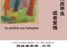 《他们谈论树皮甲虫或者爱情》：渺小人生的美丽与尊严