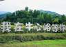 秦岭北麓葵海绽放 蓝田牛心峪绘就秋日田园画卷