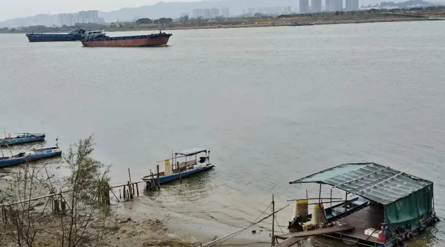 平沙岛的番外篇 西江河鲜美食