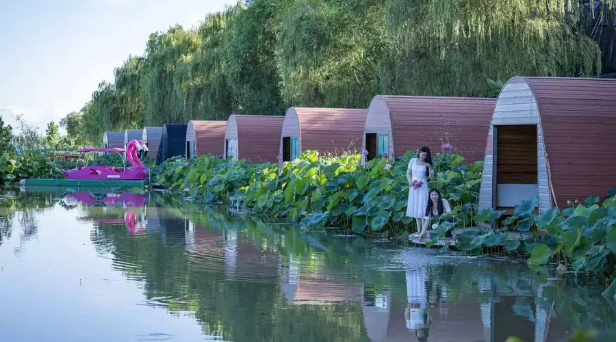息县：盛夏赴约观荷韵 乡旅兴业暖童心