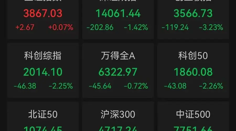 A股沪指收涨深成指创业板指下跌 贵金属板块全天爆发
