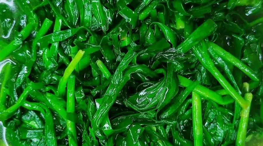 大暑伏天多吃高钾菜 几道快手鲜菜助力精气神