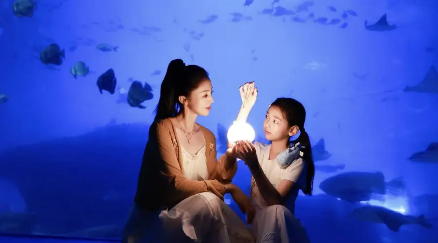 董璇晒暑期动态 带女儿小酒窝近距离接触海洋生物