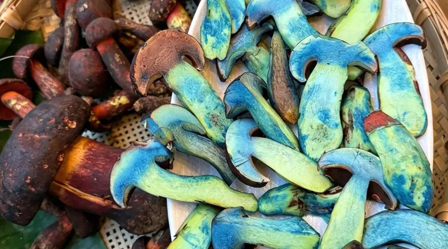 丽江古城美食选法:避景区预制菜,地道滇味挑选攻略
