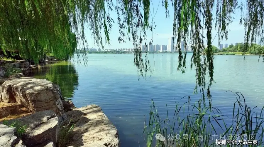 商丘日月湖景区盛夏藏浓绿 绿意秘境里享清凉