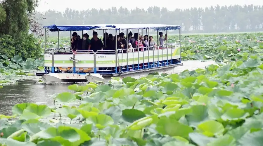 山海夏凉 || 这抹“胭脂色”,是辽宁盛夏最温柔的注脚