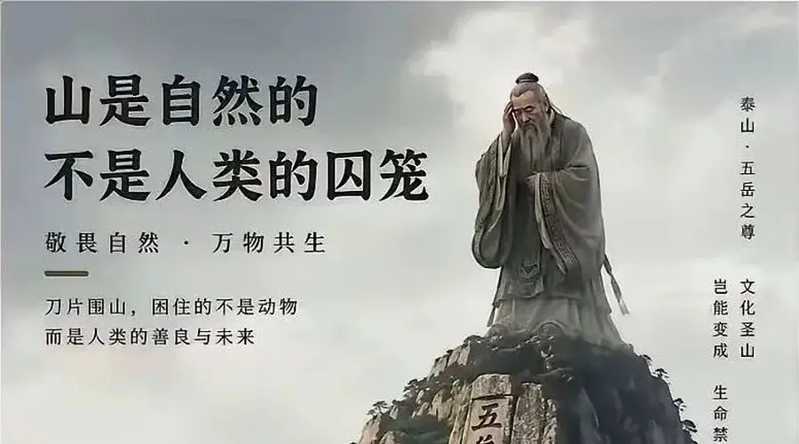 泰山滚刀网的本质