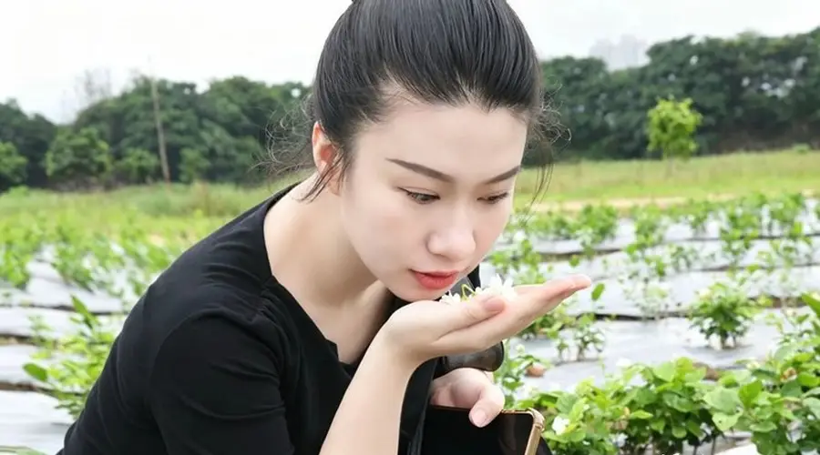 闽侯竹岐荒芜滩地变身赏花点