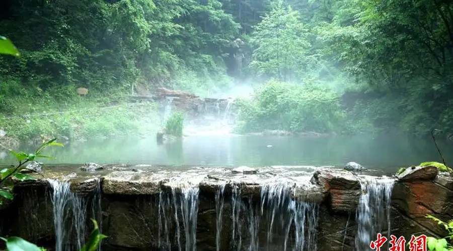 20℃清凉引客来 煤城鹤岗凭界江林海绘就避暑新图景