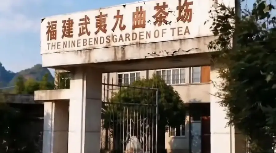 星村茶人革新之路:武夷岩茶产业的转型与复苏