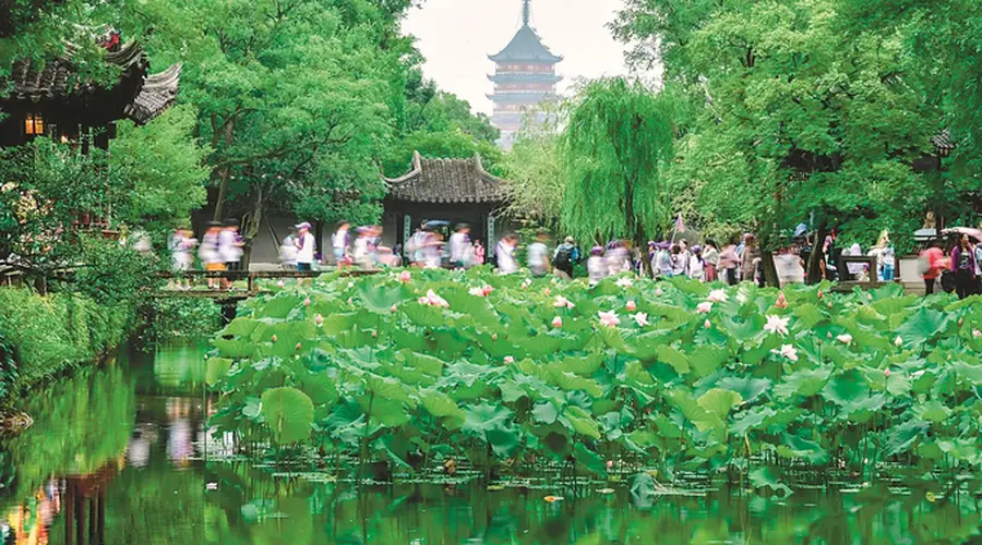苏州古典园林入世遗29载 法治保障活态传承