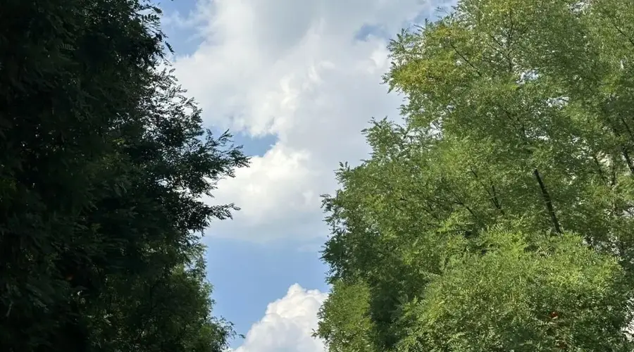 线下签售活动今日启幕 作者分享提问福利揭晓
