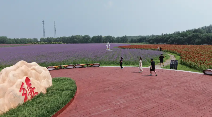 查干湖契丹岛百花园盛夏盛放 花海湖景引客打卡