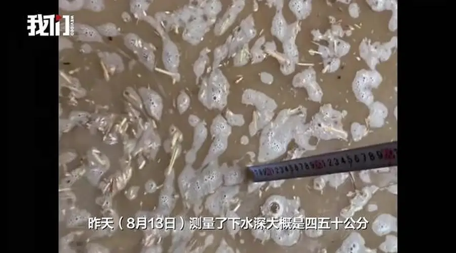 河南襄城一粮食收购处数吨小麦被洪水浸泡,多方回应
