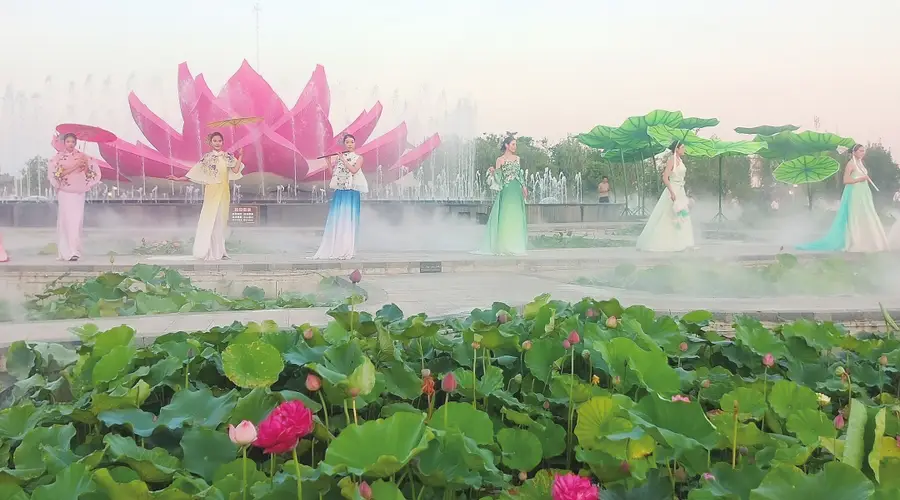 荷香满龙湖 昼夜皆盛景——第五届周口荷花节暨文旅消费季掠影