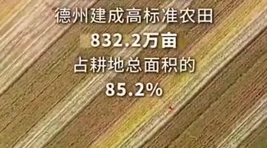 创意微视频｜点染山河色