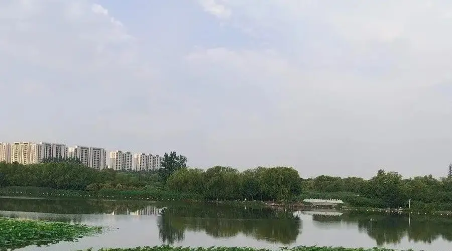 这份大兴City Walk宝藏清单，请查收——