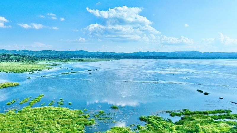 贵州毕节：百年夫妻古树迎客来 高原湿地绘就盛夏清凉画卷