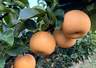 今日立秋,美食就这么吃吧!