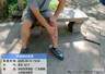 深圳梧桐山野猪种群数量呈增长态势 景区紧急提醒……