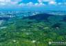 南京钟山风景区2026年全国高校新生专属免票活动开启