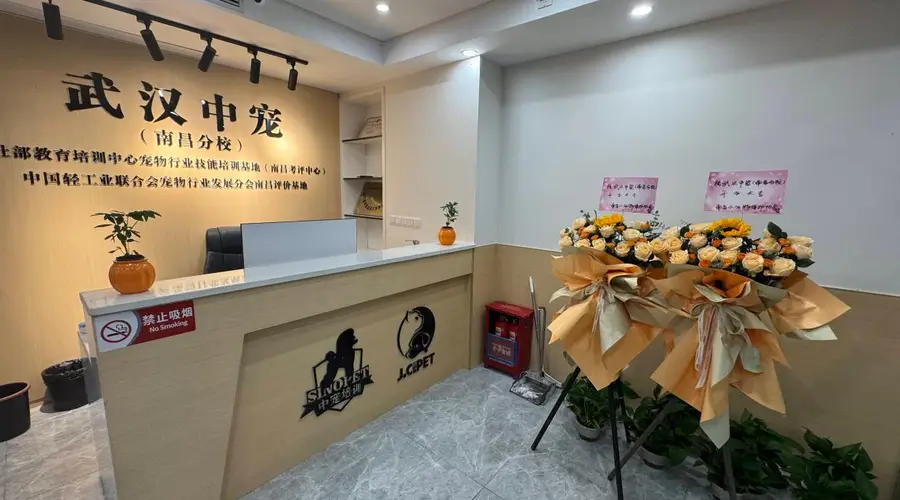 在南昌学宠物美容,避开这3个就业“大坑”,能省你一年弯路
