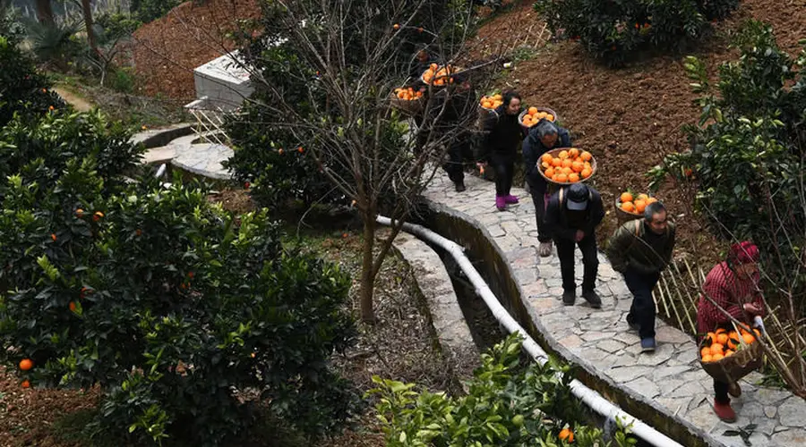 建党百年:全面建成小康社会,向第二个百年奋斗目标迈进