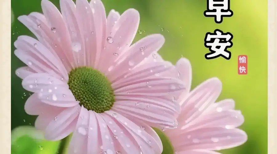 晨光启序，温柔赴朝
