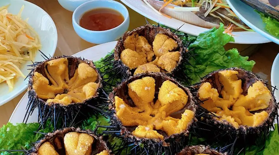 长岛渔家乐含三餐价格大揭秘，这家正规民宿，海鲜天天不重样