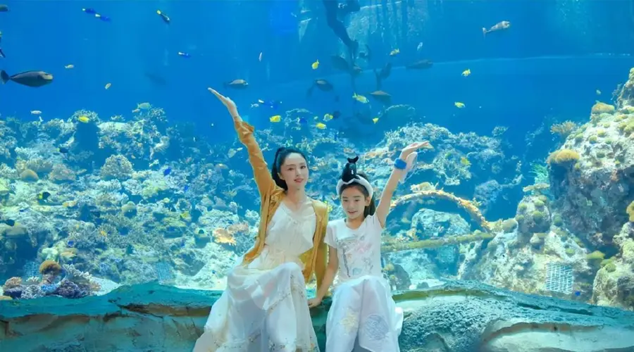 网友问董璇周也是不是她失踪女儿 董璇四字回应引爆热议