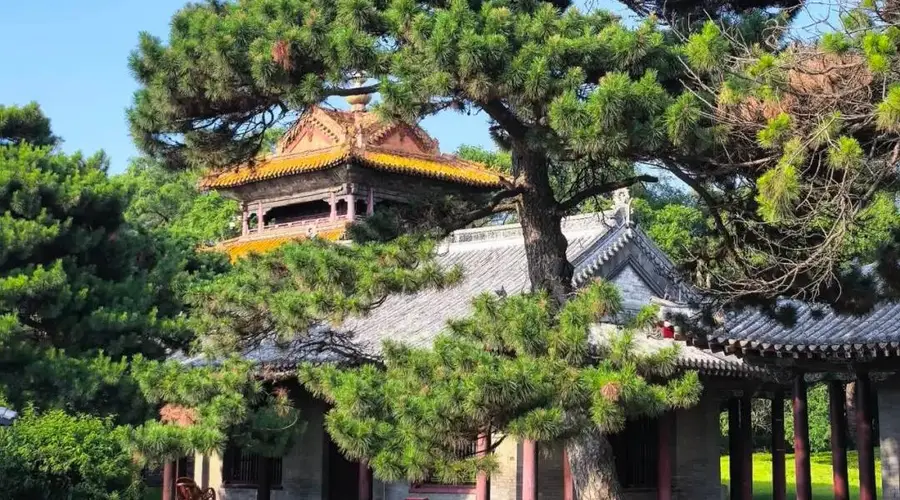 暑期旅游攻略：沈阳避暑游3天2晚清凉出行全指南