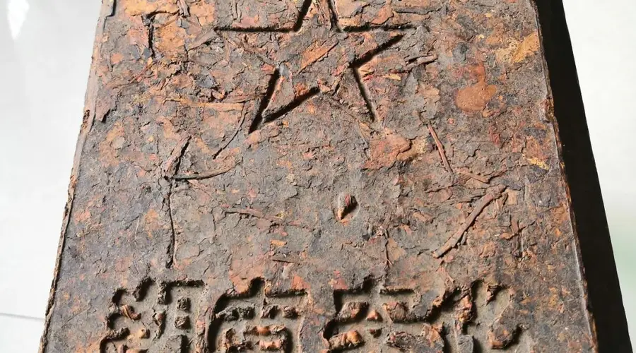 喻晴朗:我对老茶的理解