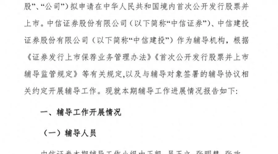长江存储31人IPO“辅导天团”亮相，两券商同时押中“双子星”