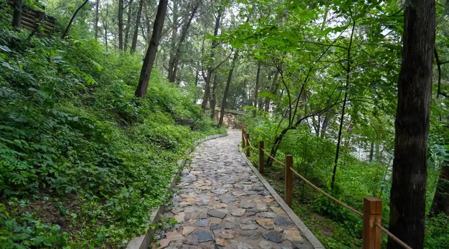 避暑胜地+1,香山公园古树保护示范区全新开放