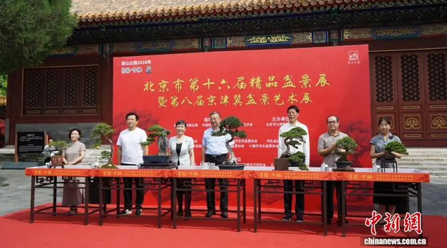 园林艺术融入多元场景 北京市第十六届精品盆景展在景山公园开幕