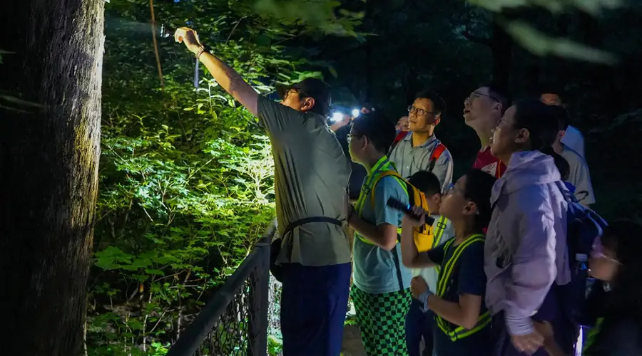 香山奇妙夜,寻访“山林夜客”!北京夏夜好去处