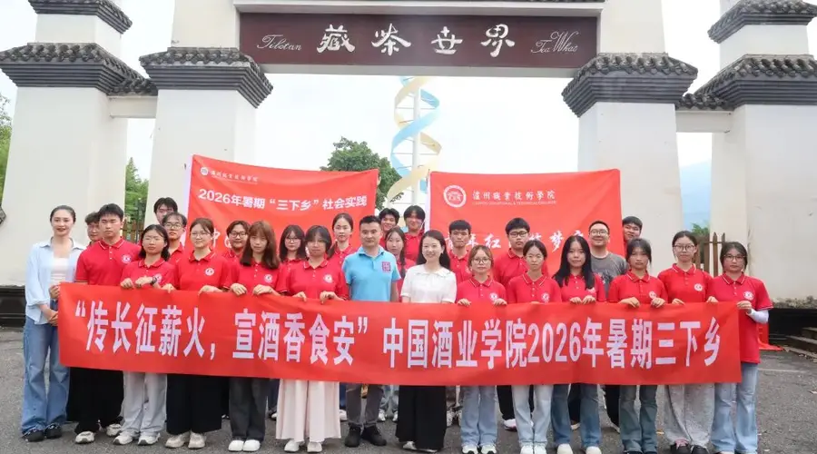 这群年轻人在雅安茶厂解锁藏茶“健康密码”