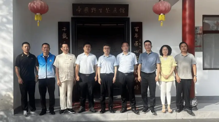 江西省市县文联专家组赴武宁 为太阳红野生茶发展探路赋能