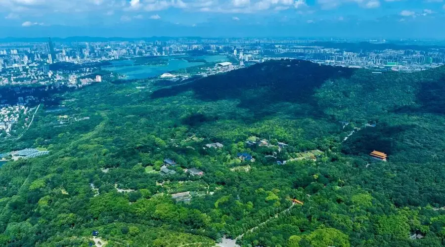 南京钟山风景区2026年全国高校新生专属免票活动开启