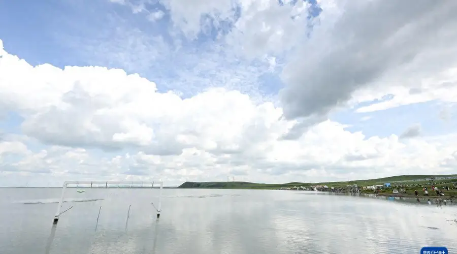 8月太仆寺旗牛奶湖成夏日热门打卡地
