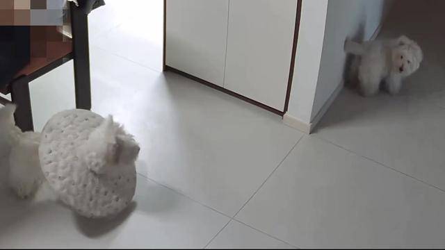医生：什么叫刚割掉的蛋蛋又长出来了？