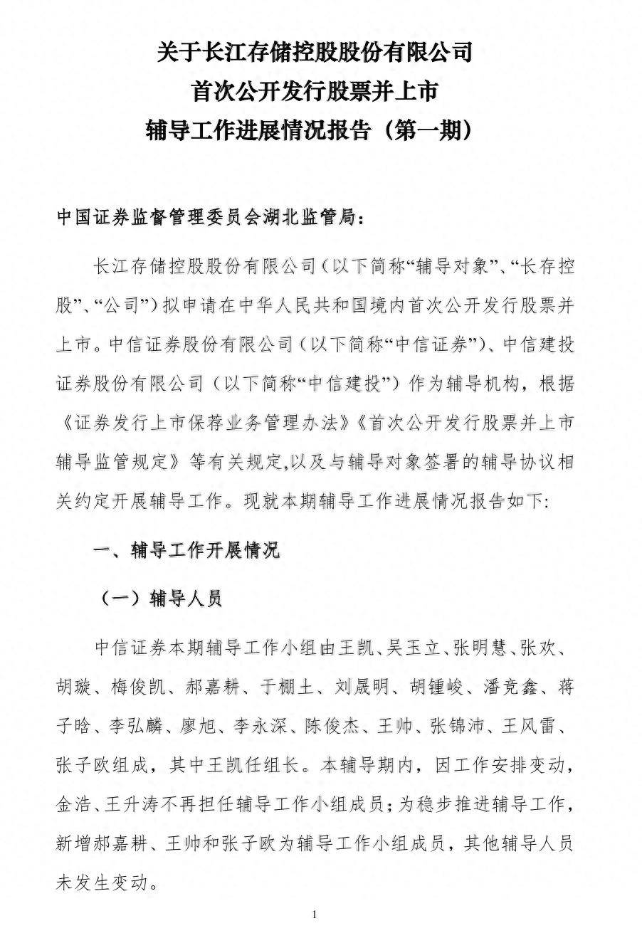 长江存储31人IPO“辅导天团”亮相，两券商同时押中“双子星”