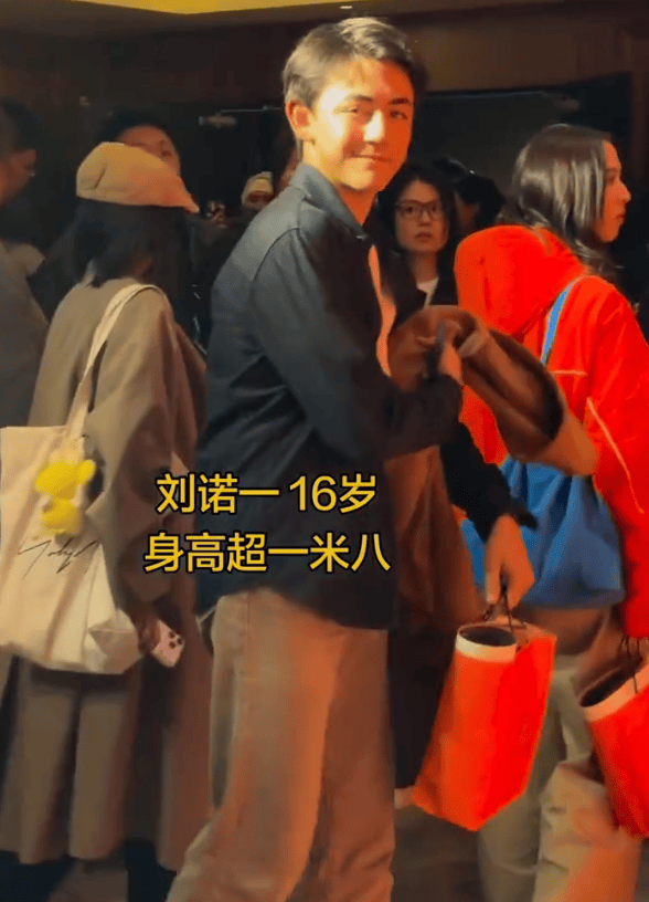 刘烨16岁儿子诺一近照曝光 混血长相超帅气