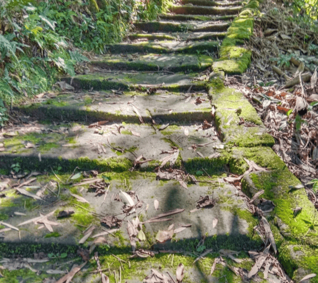 踏行千年茶马古道，感受立体景观与原生村落风情