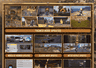全网超简单 PUBGM 国际服下载注册全教程!免费搞定延迟掉线,轻松驰骋全球战场