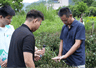 探秘珍稀紫芽茶,溯源千年柏塘茶史|我院 “笃志向善”突击队实地走访茶种培育园