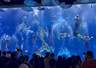 昆明融创海世界推出民族特色人鱼秀 成夏日热门看点