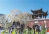 龙岗文旅局回应甘坑古镇优化业态布局 将强化客家文化在地呈现