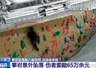 徒手攀岩区坠落致八级伤残 法院判双方担责